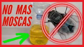 🦟 LA MEJOR TRAMPA PARA MOSCAS CASERA INGREDIENTE SECRETO [upl. by Anatlus307]