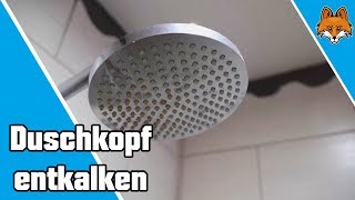 Duschkopf entkalken mit Essig 🚿 [upl. by Tiertza119]