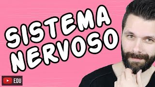 SISTEMA NERVOSO  FISIOLOGIA  Aula  Biologia com Samuel Cunha [upl. by Liahkim650]