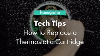 Hansgrohe Tech Tips How to Clean Thermostatic Cartridge [upl. by Arhat134]