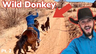 Roping Wild Burros On Navajo Reservation pt 2 Vlog 33 [upl. by Yenffit158]