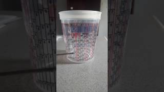 How to use your mixing cup [upl. by Huoh]