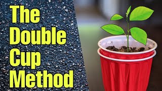 The Double Cup Method to Start Seeds [upl. by Eibber]