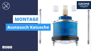 Austausch der Kartusche  Montage  Grohe [upl. by Goldfarb962]