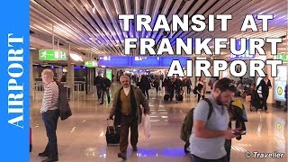 TRANSIT WALK AT FRANKFURT Airport FRA Terminal 1  Connection Flight Transfer Arriving amp Departing [upl. by Oijile]